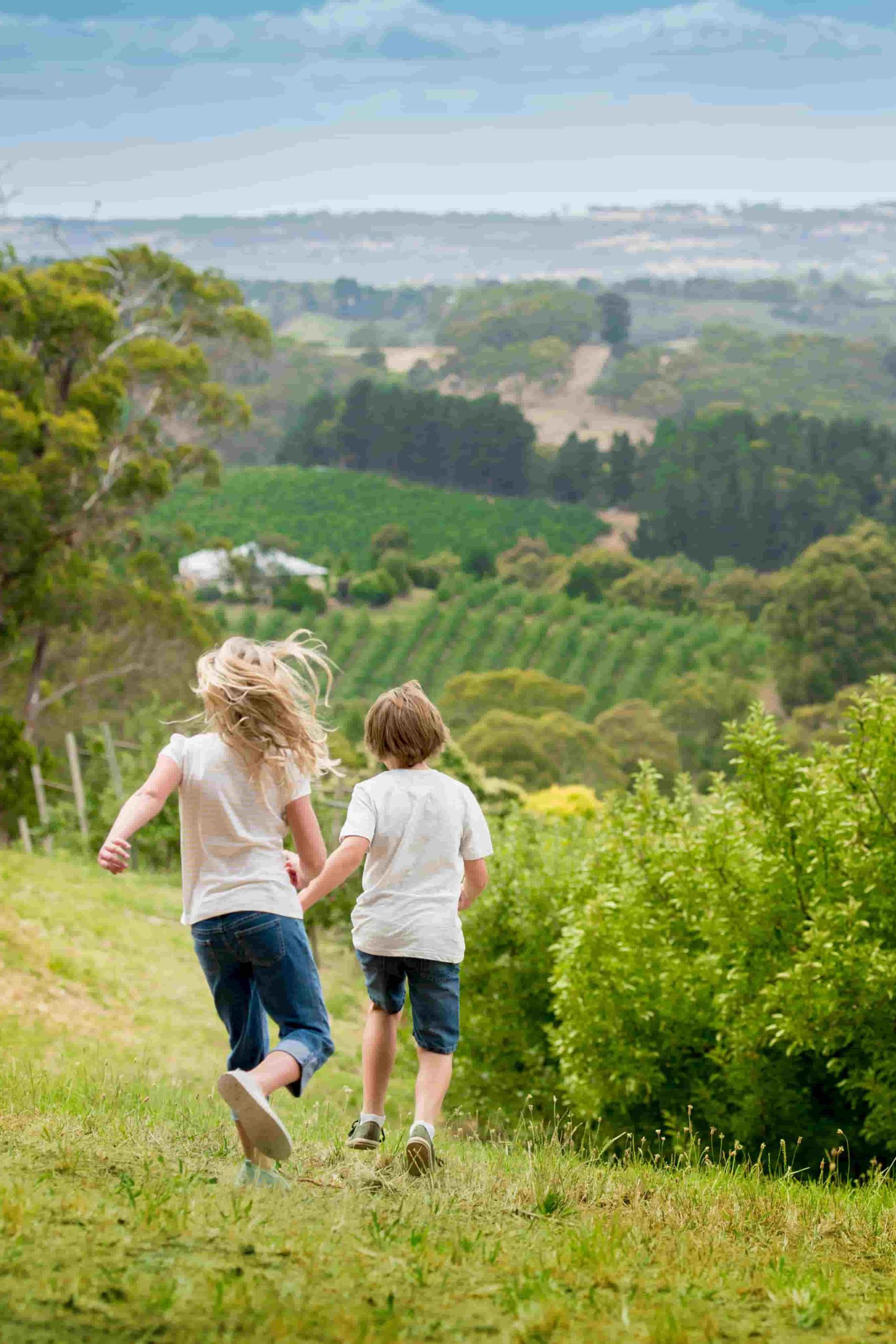 Children running through Adelaide Hills with a vineyard in the background