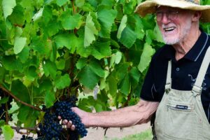 Adrian Tobin checking his vines