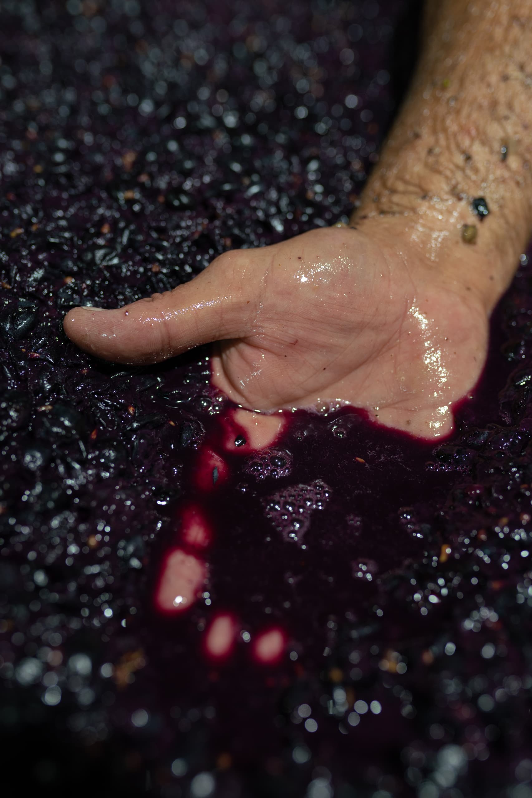 A winemaker at Tobin Wines running their hand through crushed grapes
