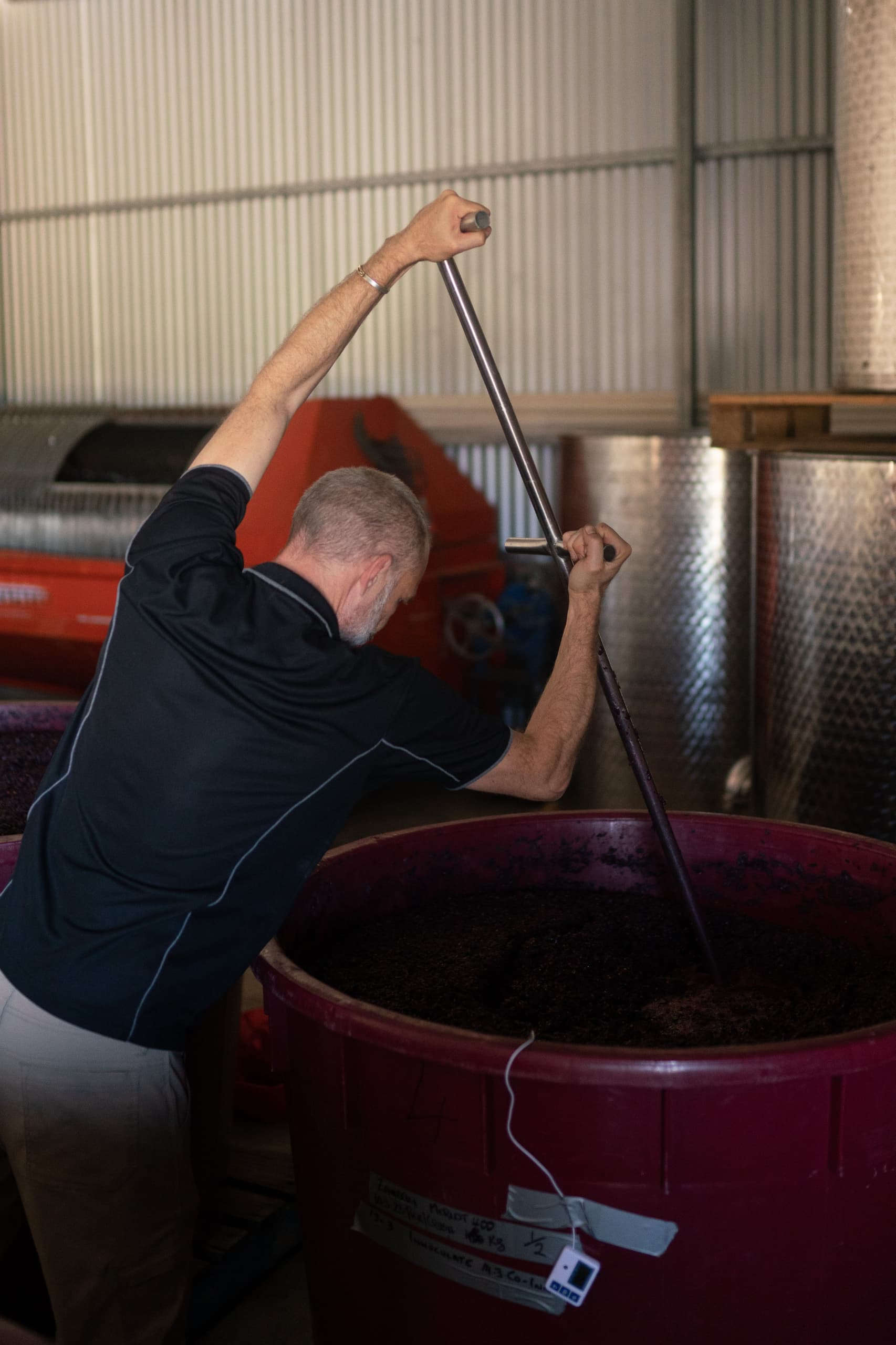 A winemaker at Tobin Wines crushing grapes