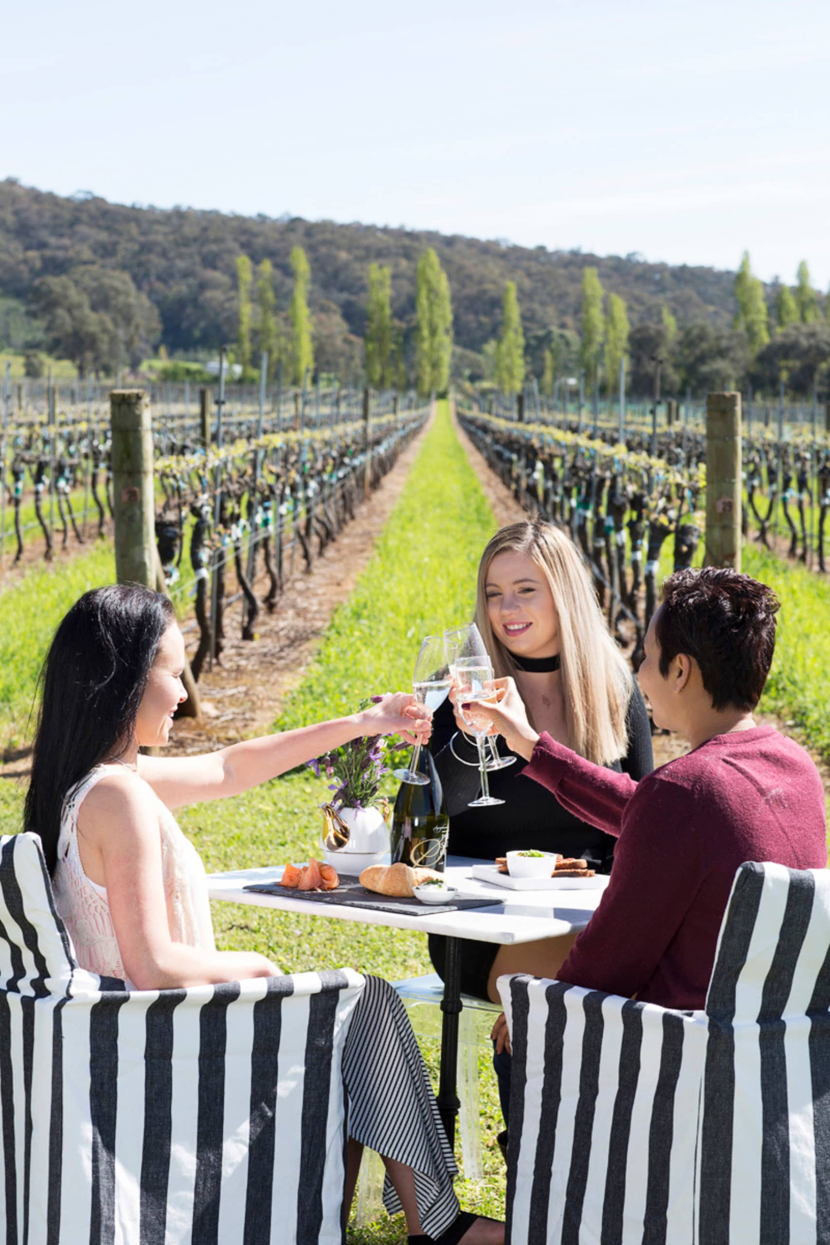 A group of women drinking wine in front of rows of grape vines